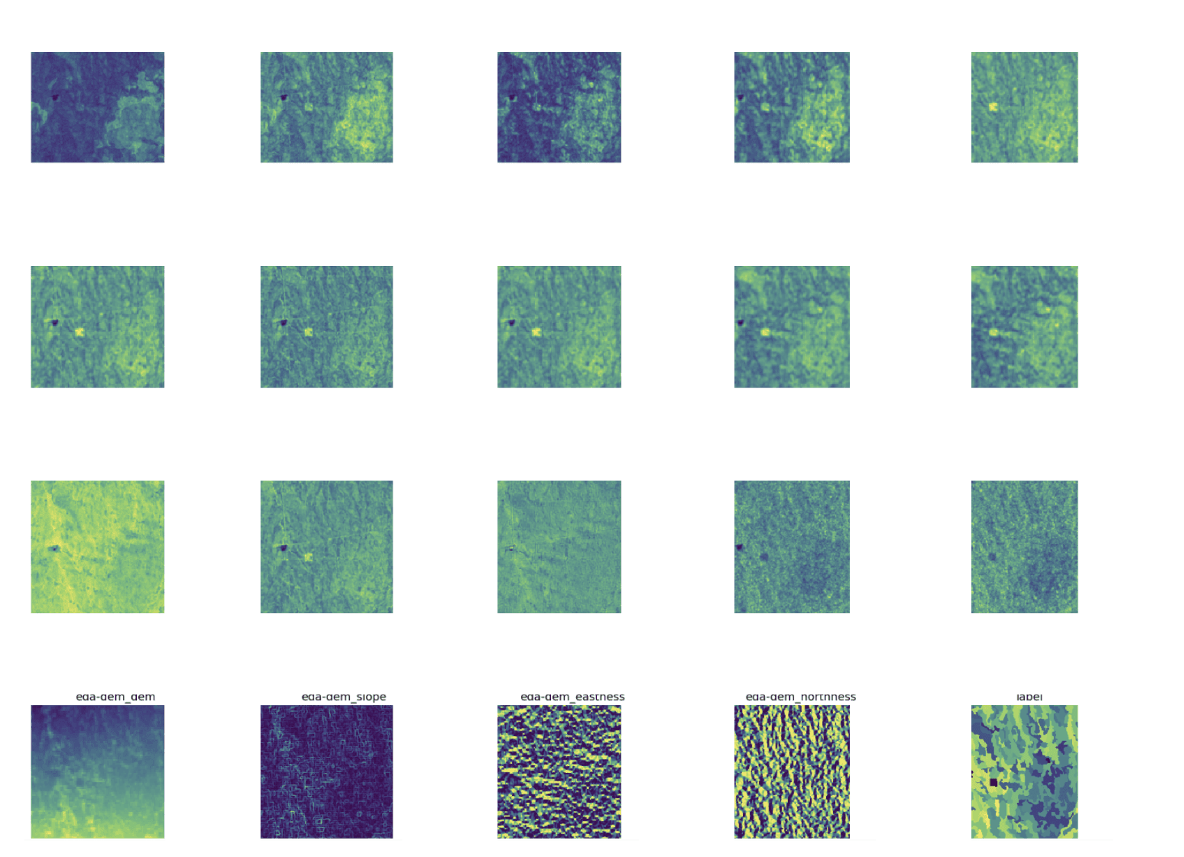 Satellite bands, derived variables, terrain data, and label layers used as model inputs.